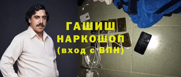 индика Алексин