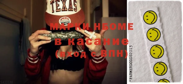 индика Алексин