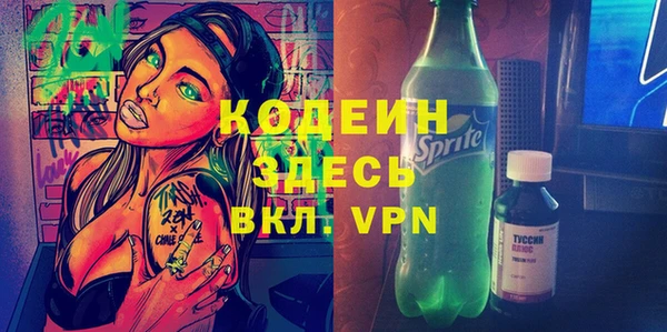 индика Алексин