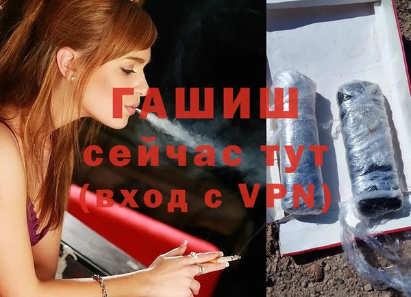 индика Алексин