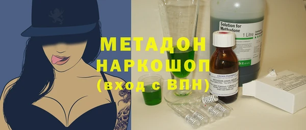 индика Алексин