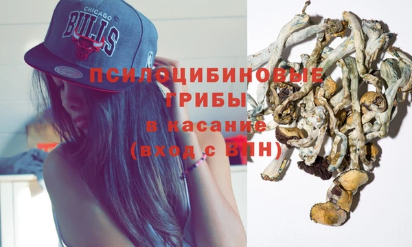прущие грибы Абдулино