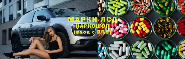 индика Алексин