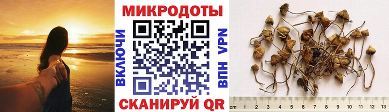 Галлюциногенные грибы MAGIC MUSHROOMS купить наркоту кракен ONION Гаджиево